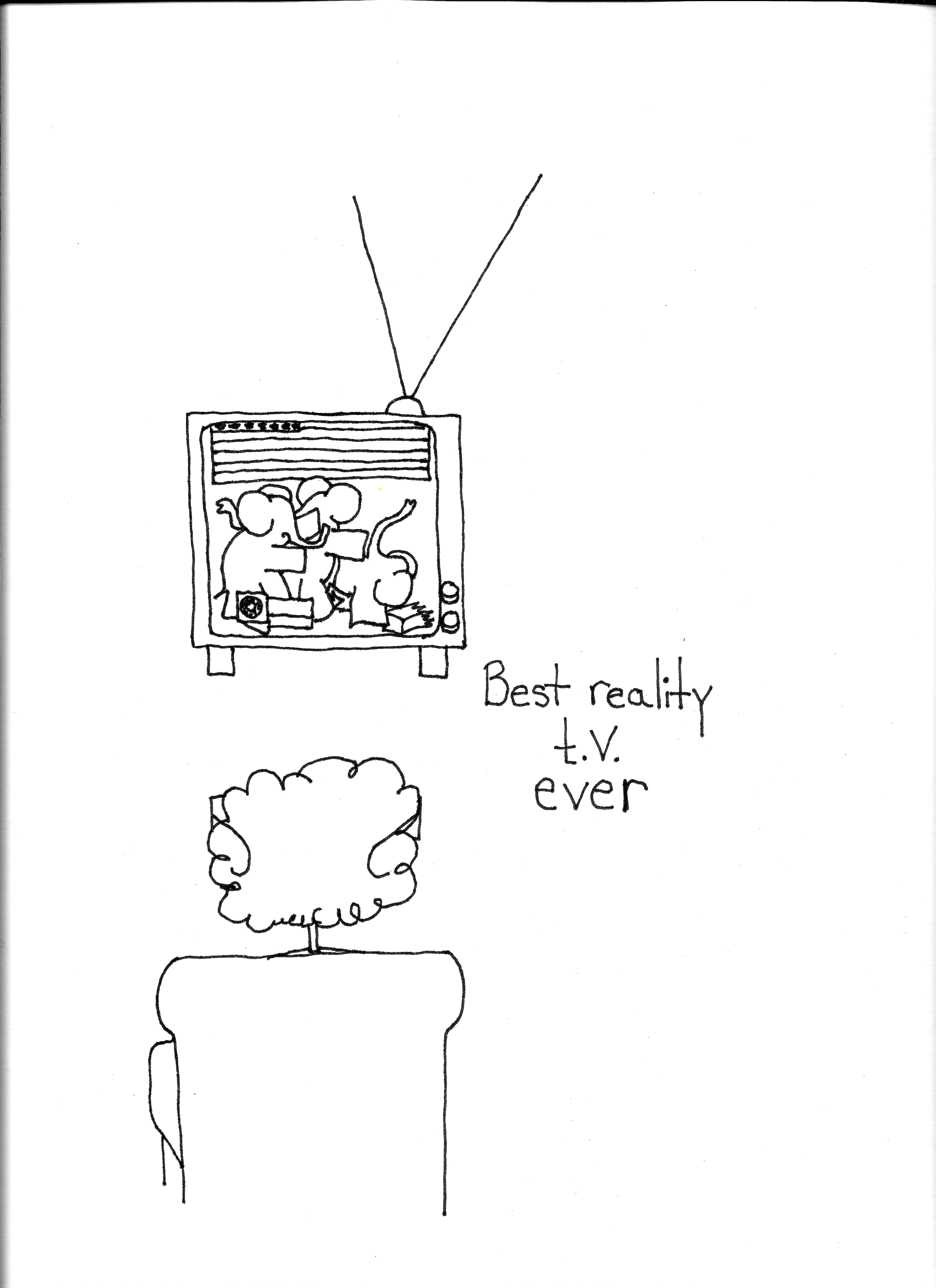 Best Reality T V Ever