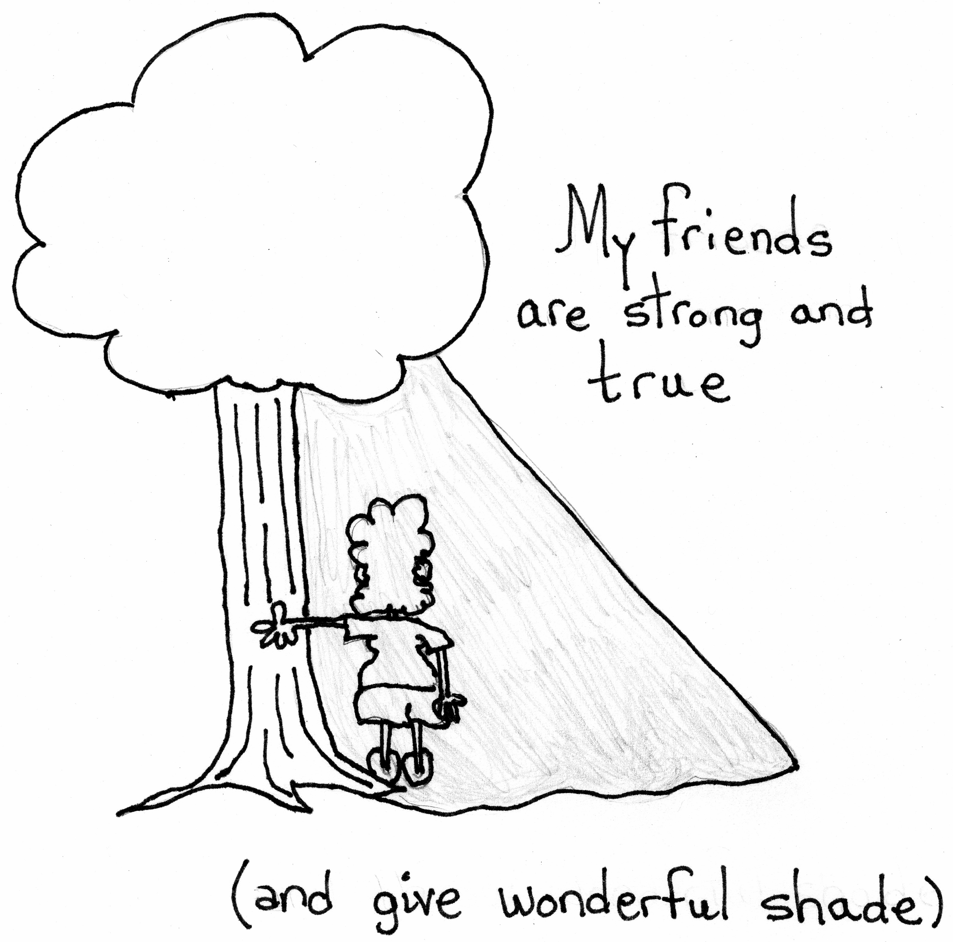 Wonderful Shade