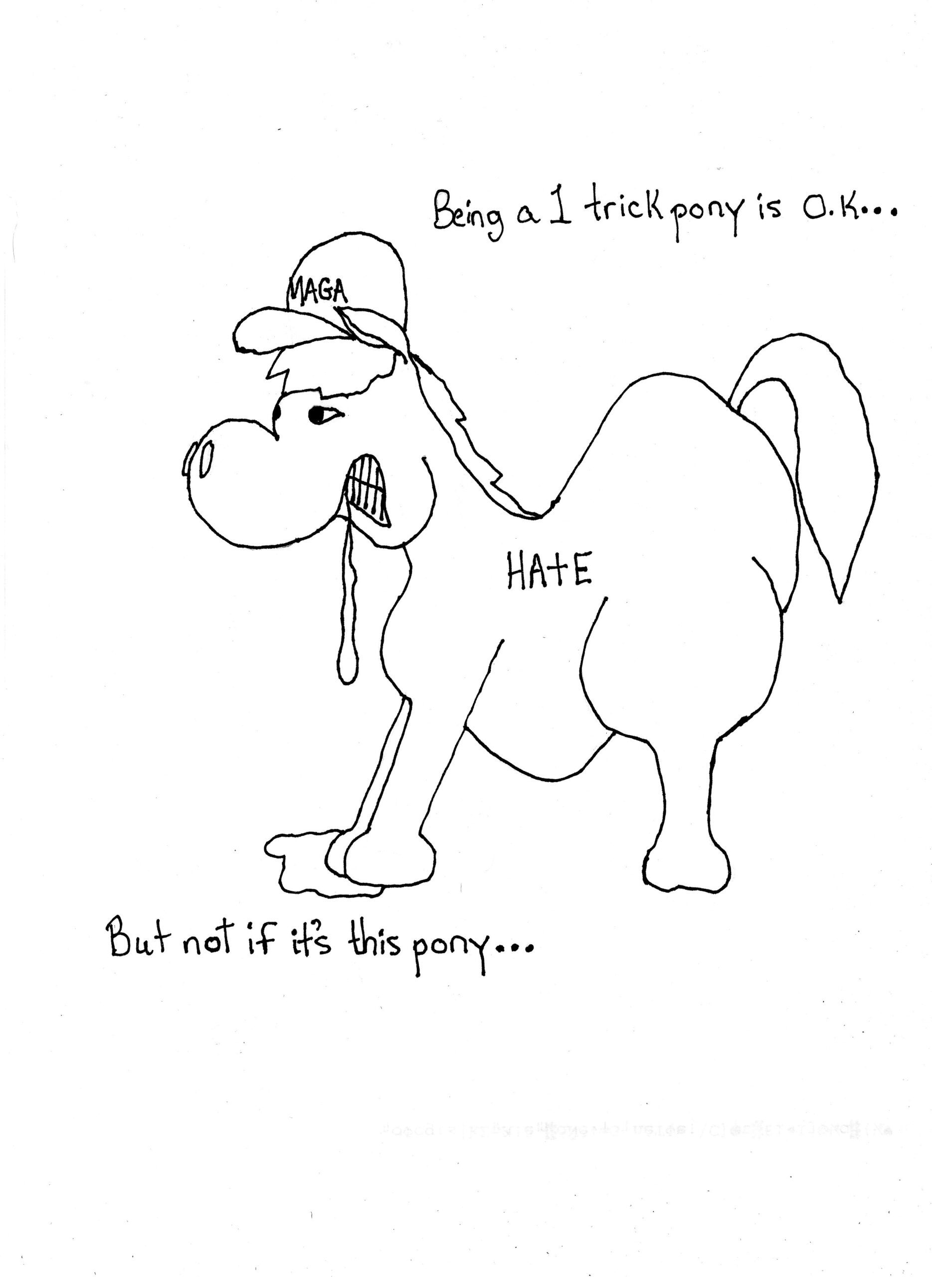 One Trick Pony