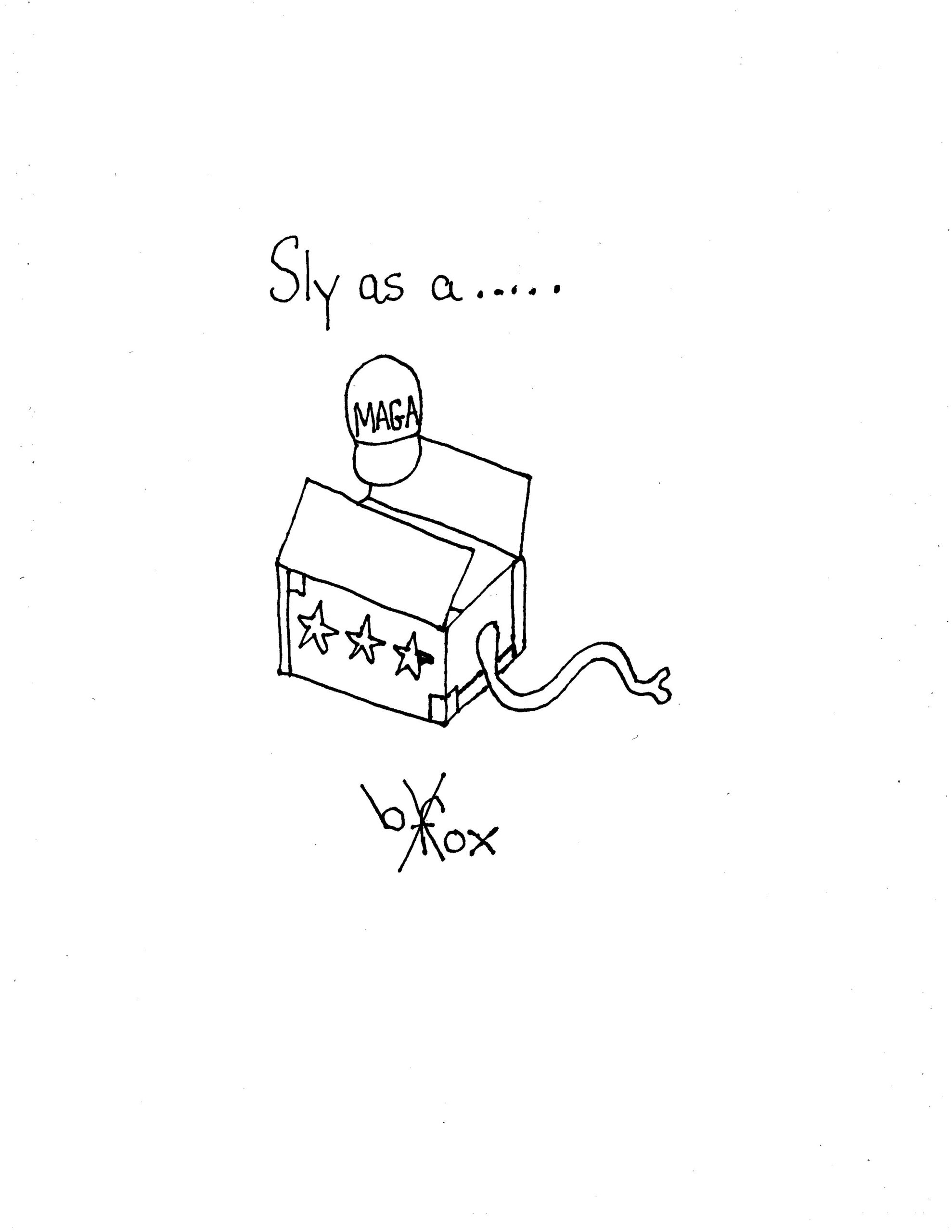Sly Like A Box Not Fox