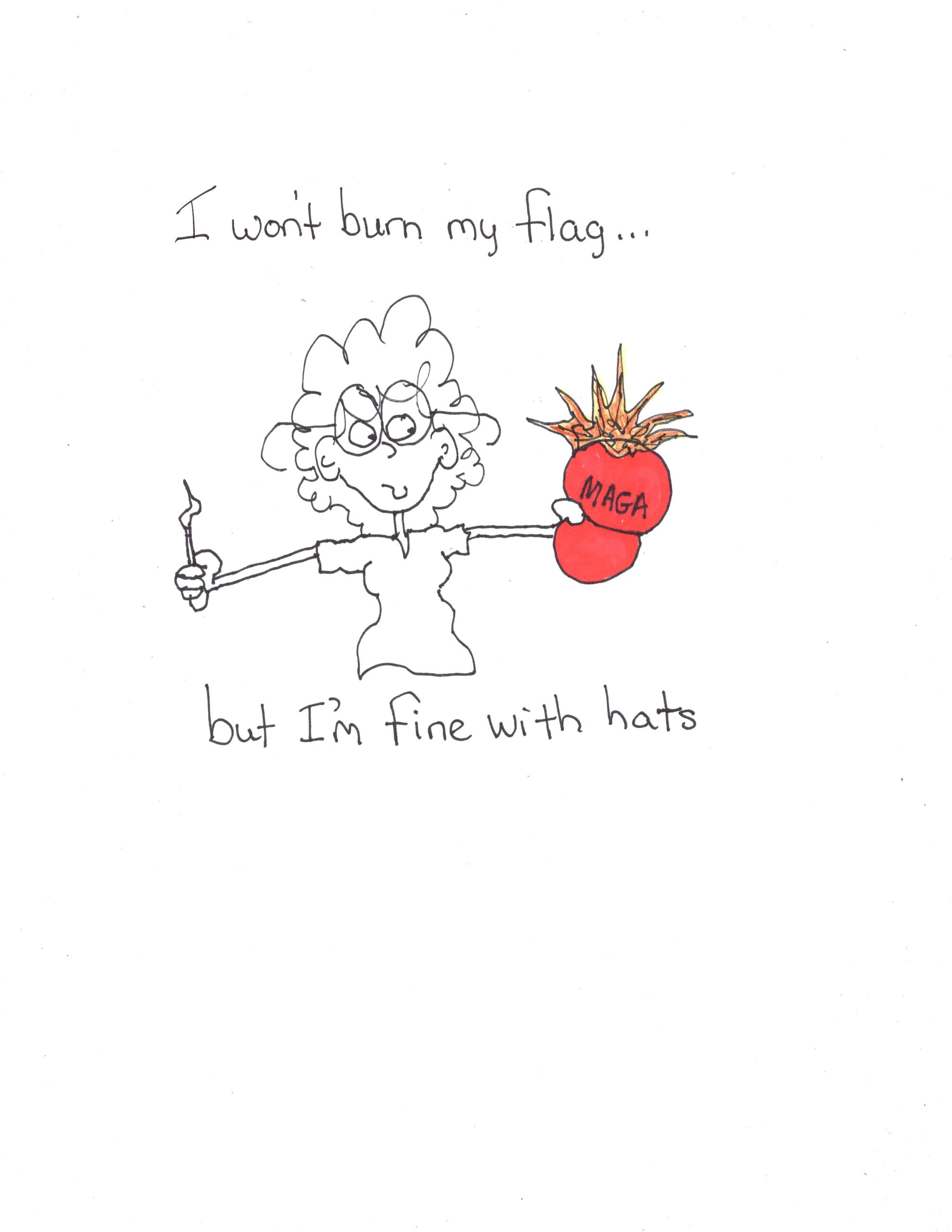 I Won’t Burn My Flag
